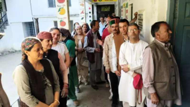Himachal Panchayat Election Phase 2: Voting Underway for 1276 Gram Panchayats