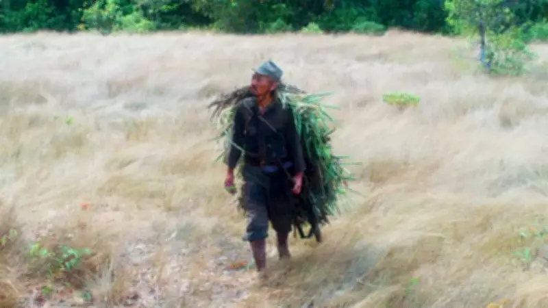 Hiroo Onoda: The Japanese Soldier Who Fought WWII for 30 Years After It Ended