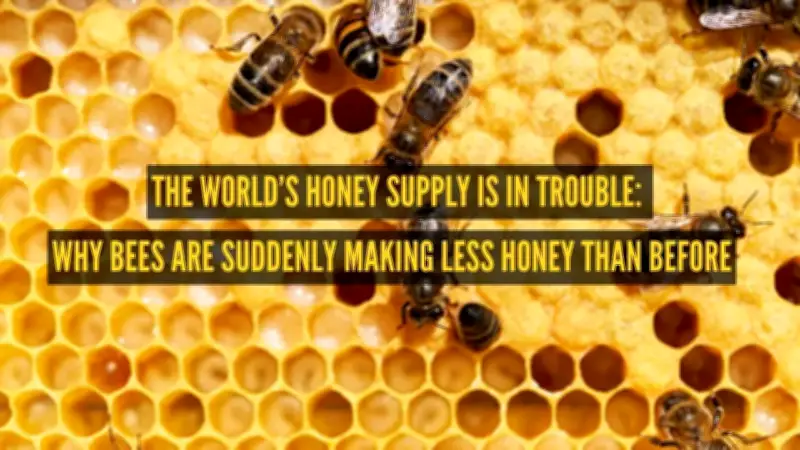 Honey Crisis: Climate Change Disrupts Flower-Bee Cycle and Nectar Quality