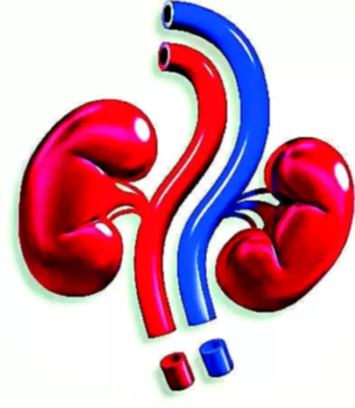 Hospitals in Delhi-NCR See Surge in Heat-Linked Kidney Ailments