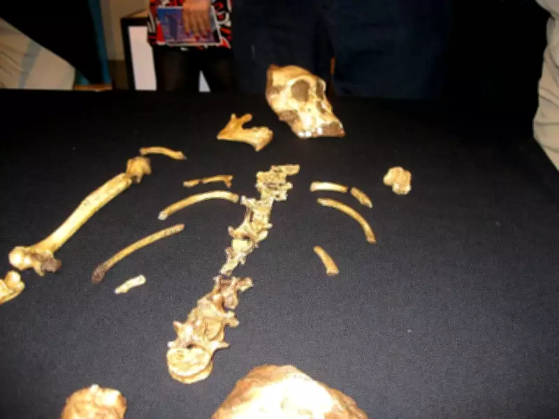 How a 9-Year-Old Boy’s Discovery Redefined Human Evolution