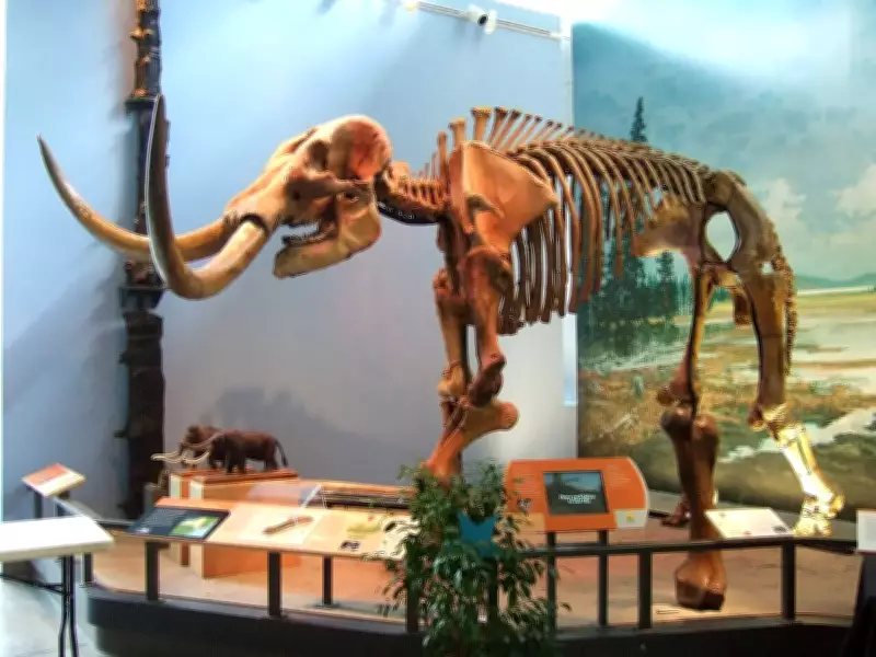 How a Farmer's Discovery of Giant Bones in a Swamp Changed America's History