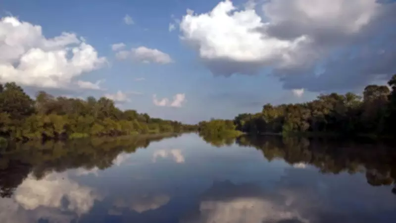 How Hurricane Isaac Temporarily Reversed the Mississippi River Flow in 2012