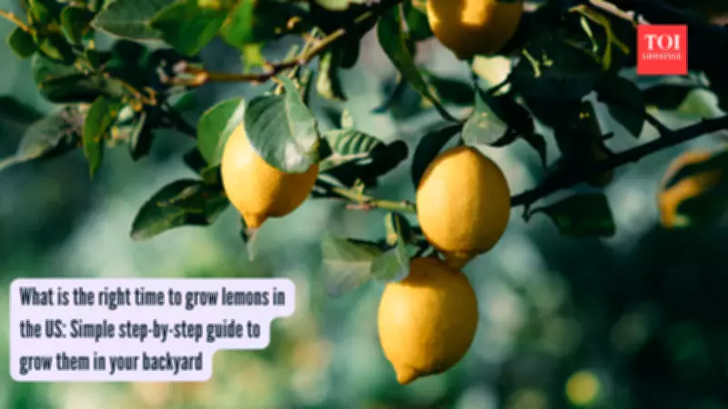 How to Grow Lemons in Your Backyard: A Complete Guide