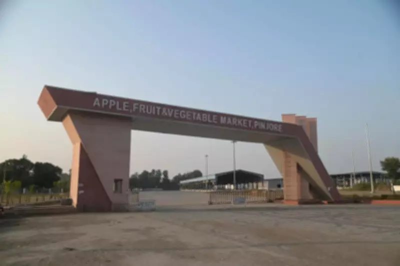 HSAMB Revives Stalled Apple, Fruit and Vegetable Market in Pinjore