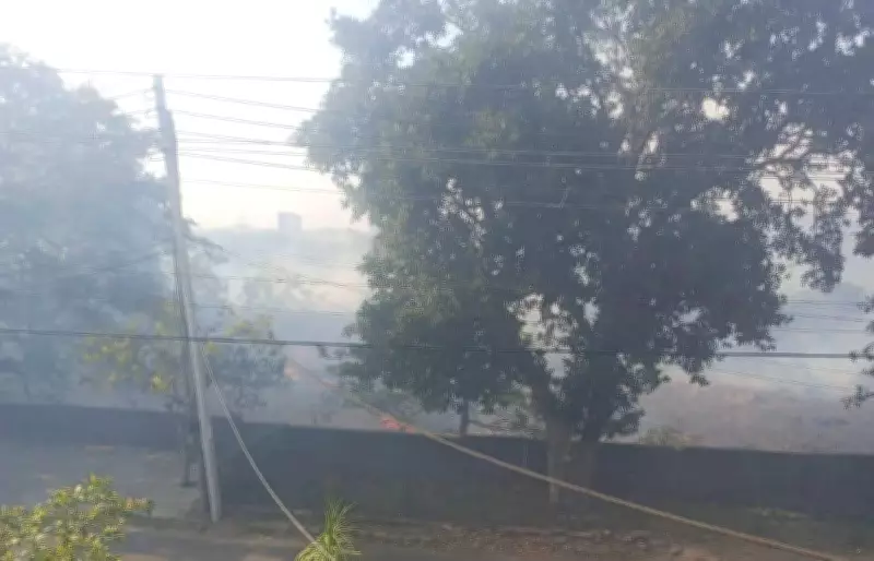 HSVP to Fence Vacant Land in Panchkula to Curb Illegal Dumping and Encroachment