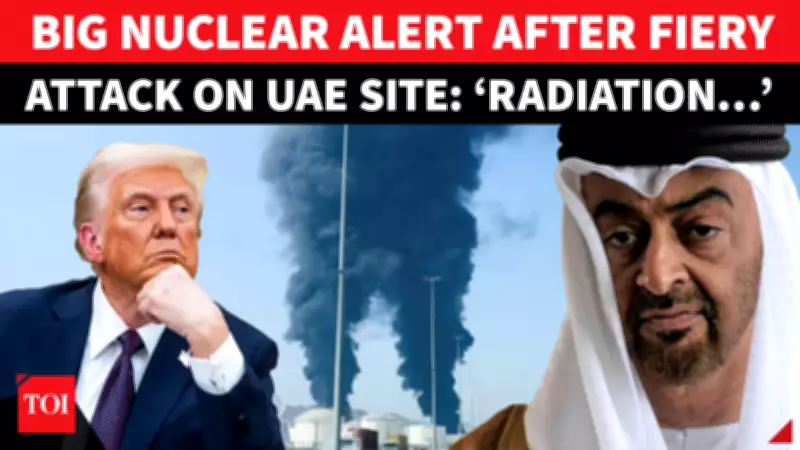 IAEA Confirms Safety at UAE Nuclear Plant After Drone Fire