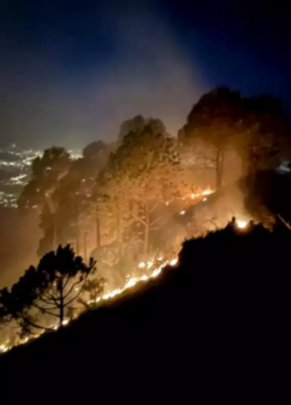 IAF Helicopters Drop 40,000 Litres of Water to Douse Kasauli Forest Fire