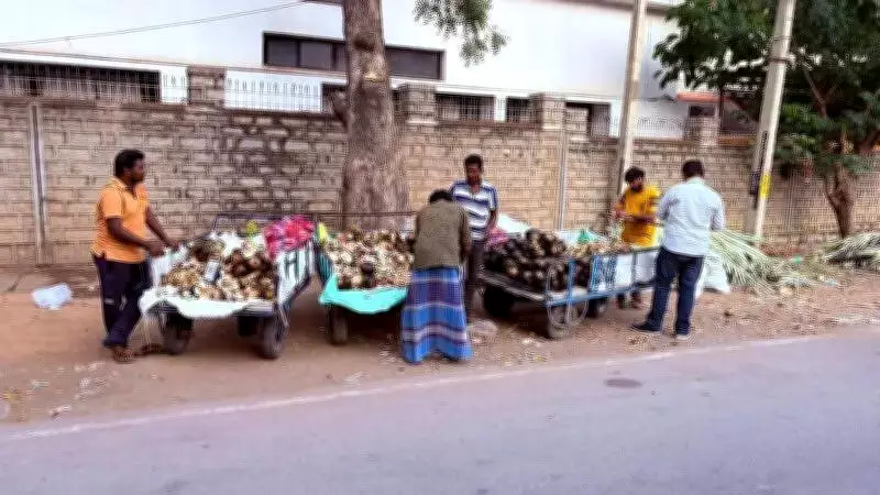 Ice Apple Stalls Thrive in Kolar as Summer Heat Intensifies