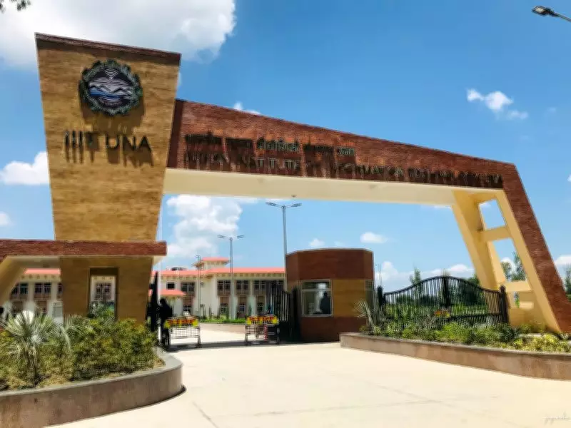IIIT Una Launches New MSc Course in Data Science and AI