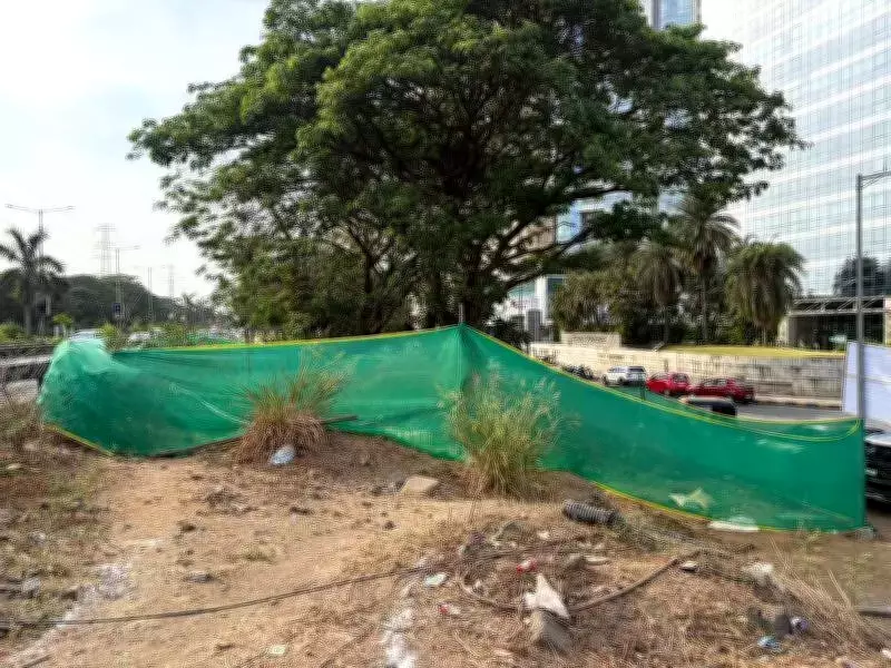 IIT-B Team Visits Navi Mumbai Site to Save Trees from Underpass Project