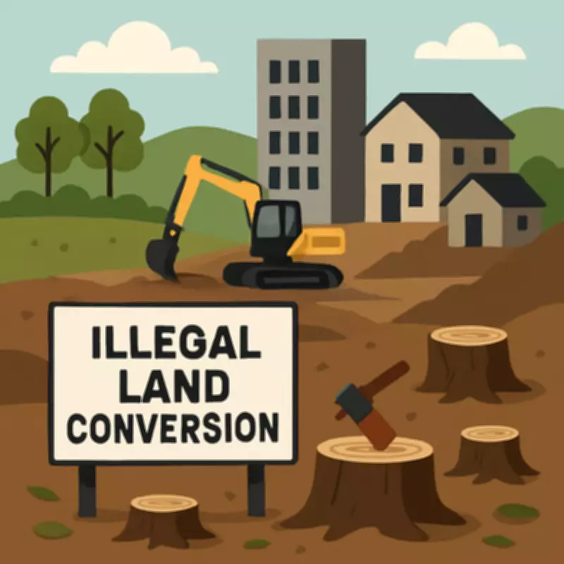 Illegal Land Conversion Threatens Kodagu's Green Cover, Alleges NGO
