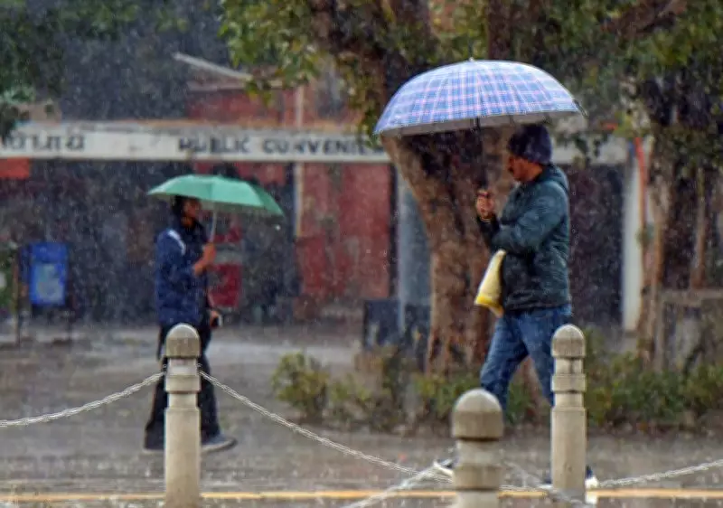 IMD Warns of Lightning, Gusty Winds, Rain in Punjab