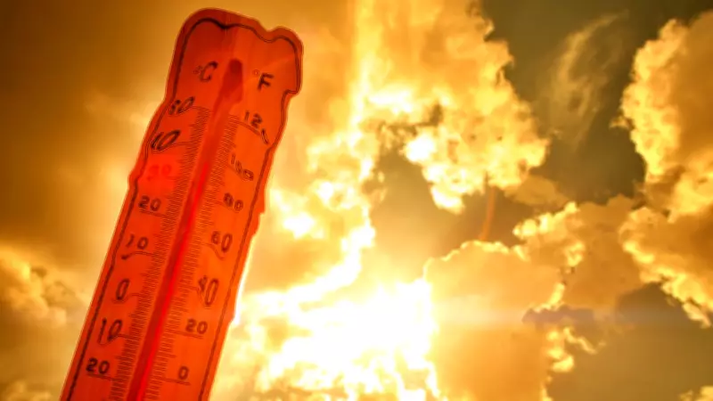 IMD Warns of More Heatwave Days, Warmer Nights in May Across Parts of India