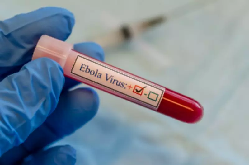 India-Africa Forum Summit Postponed Due to Ebola Outbreak