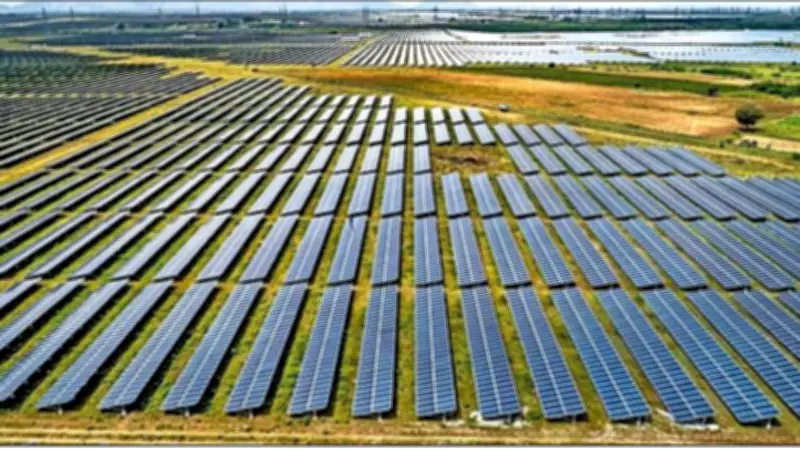 India and Sweden Call for Strengthened Global Cooperation on Climate and Industry