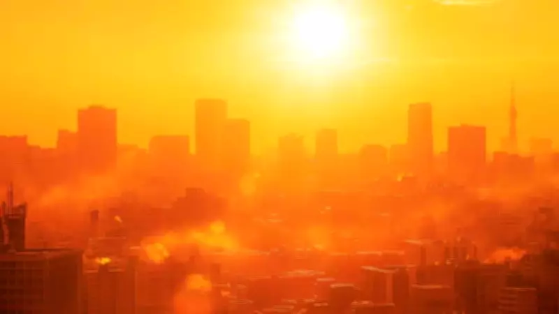 India Heatwave 2026: Why Indian Cities Dominated World's Hottest Places List