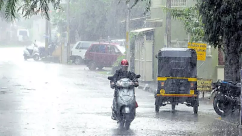 India Likely to Receive 90% of LPA Rainfall This Monsoon: IMD