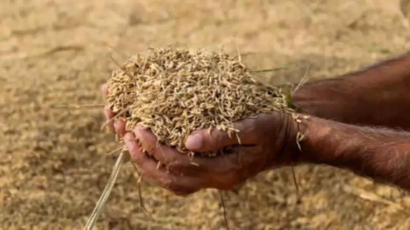 India Record Foodgrain Production 376 MT; El Nino Risk Looms
