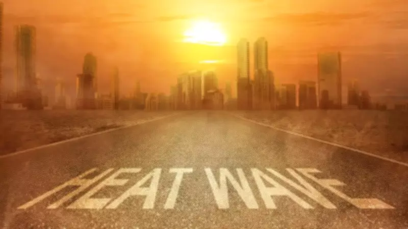 India Weather: Heatwave in North, Heavy Rain in South and Northeast