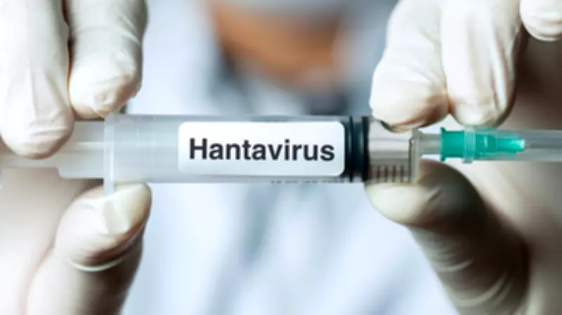 Indian Doctors Highlight Hantavirus Risk in South Korea: Multiple Cases Annually