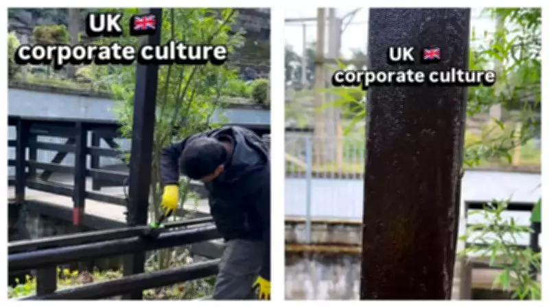 Indian Expat in UK Enjoys Volunteer Day Painting Railings at Zoo