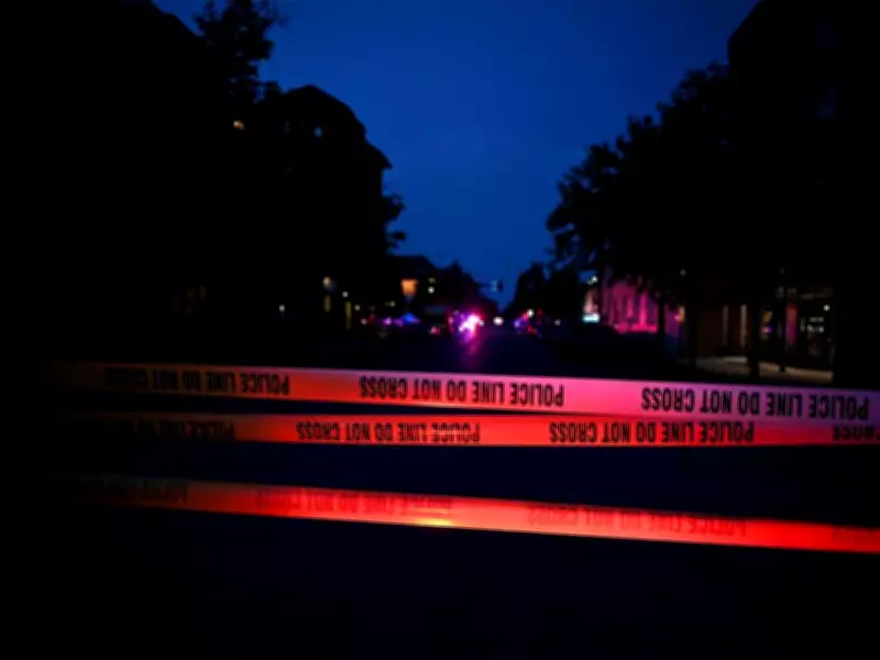 Indian Student Killed in Road Accident Near Chicago
