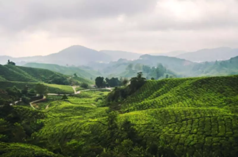 Indian Travellers Choose Offbeat Domestic Spots Amid Global Uncertainty