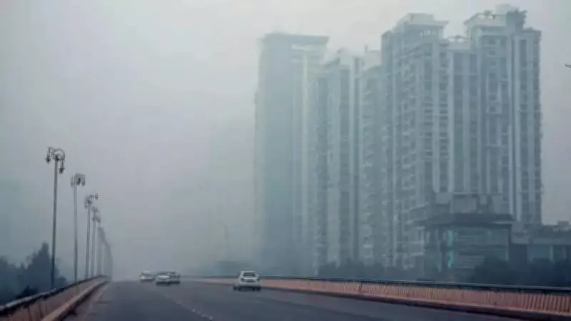 India's Environment Crimes Drop 16.4% in 2024, Tobacco Violations Top List