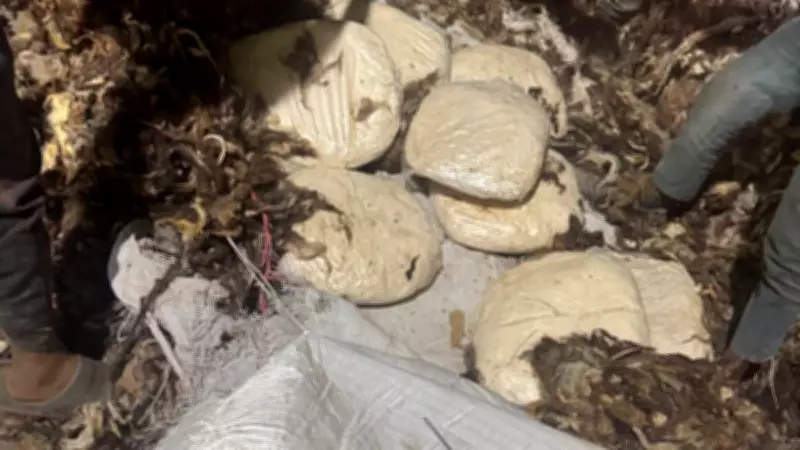 India's First Captagon Bust: All You Need to Know About Jihadi Drug Seized by NCB