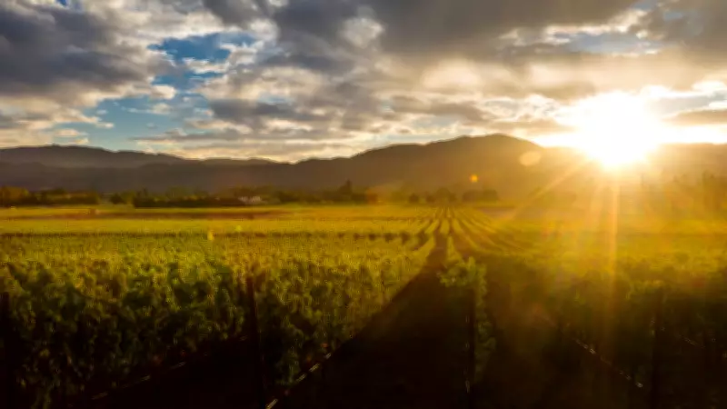 India’s Hidden Wine Regions Beyond Nashik You Must Explore in 2026