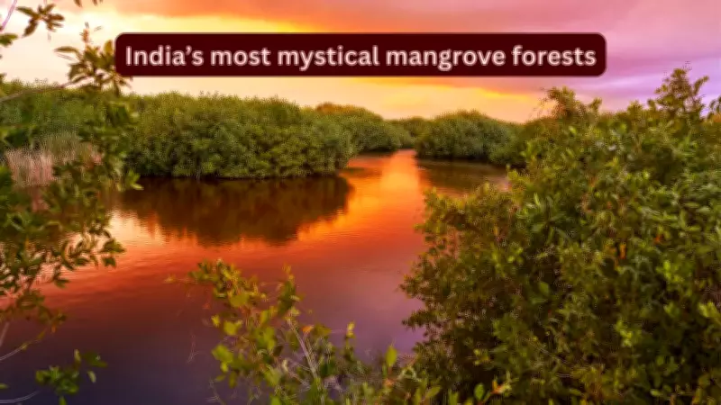India's Mystical Lesser-Known Mangrove Forests You Must Explore