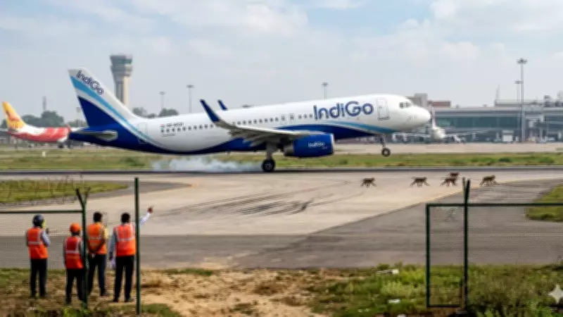 IndiGo Flight Aborts Take-Off at Lucknow After Monkeys on Runway