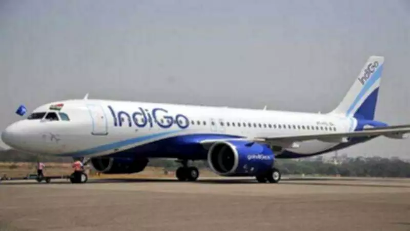 Indigo Flight Aborts Takeoff at Lucknow Airport After Monkeys Spotted on Runway