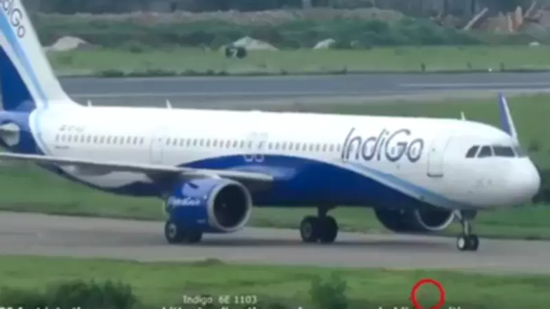 IndiGo Pilots' Jackal Alert at Dhaka Airport Ends with Plastic Bag Twist