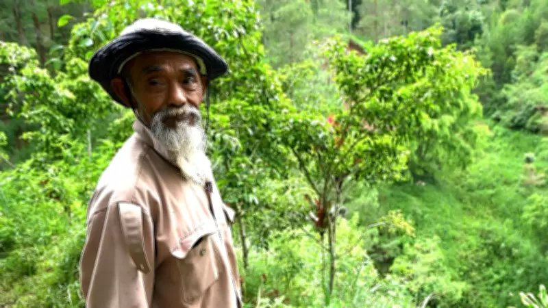 Indonesian farmer Mbah Sadiman turns barren hills green after decades of tree planting
