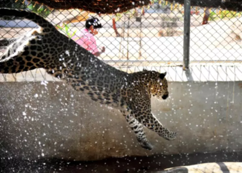 Indroda Nature Park on High Alert as Heatwave Hits Gandhinagar