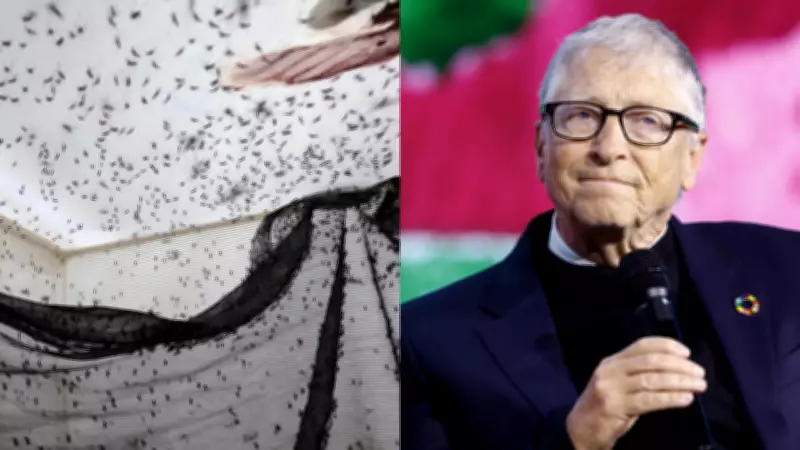 Inside Bill Gates-backed mosquito factory releasing millions weekly to fight dengue
