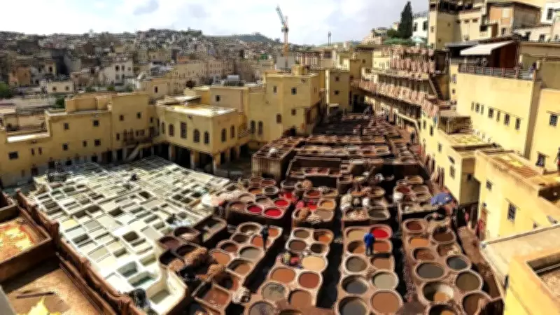 Inside Morocco's Chouara Tannery: A Living Legacy of Fez's Leather Trade