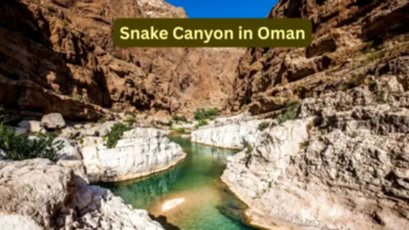 Inside Snake Canyon Oman: Natural Water Slides and Adventure Decoded
