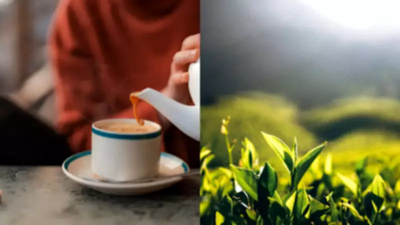 International Tea Day 2026: 6 Culinary Uses of Tea Leaves Beyond Brewing