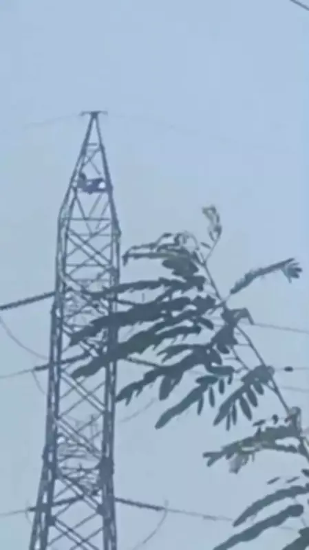 Intoxicated man dies after falling from 60-ft electricity tower in Krishnagiri