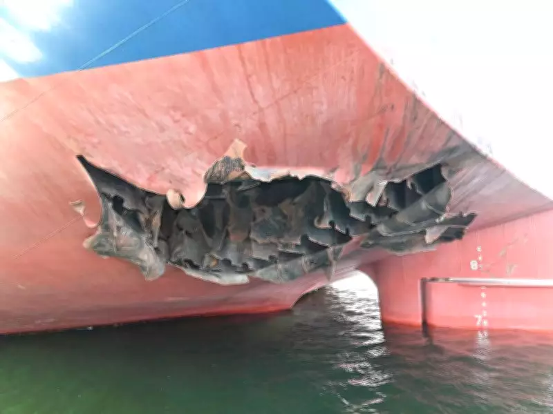 Iranian Missile Likely Hit Korean Ship: South Korea Probe