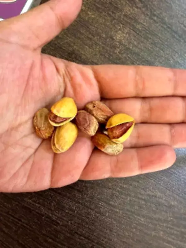 Iranian Pistachio Shortage Hits Pune Market, Prices Surge 50%