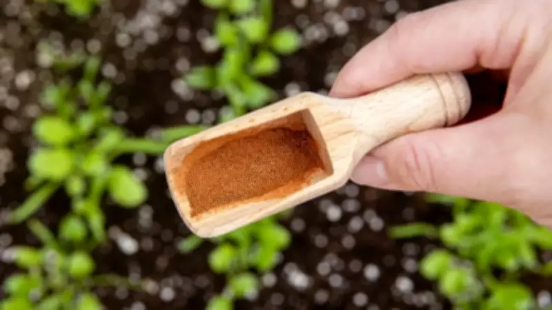 Is Cinnamon Good for Plants? 6 Gardening Uses Explained