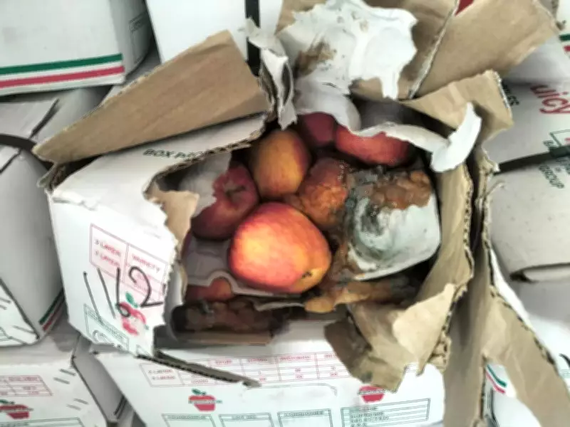 Jaipur Food Safety Dept Destroys 10,000 kg of Rotten Fruits and Expired Dates