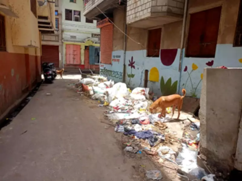 Jaipur Walled City Garbage Crisis After Cleanliness Drives Ends