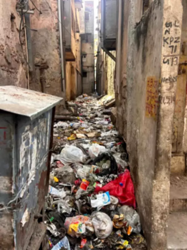 Jaipur's Walled City Faces Garbage Crisis Again After Cleanup Drive