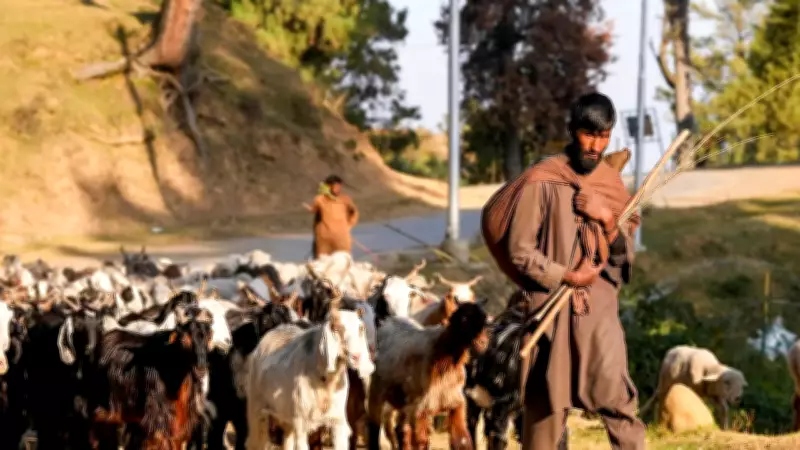 Jammu Nomadic Tribes File Complaint Over Demolition of Habitations
