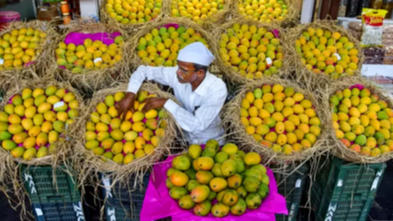 Japan Bans Indian Mango Imports Again Over Pest Control Lapses